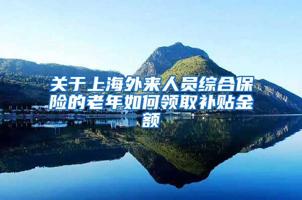 关于上海外来人员综合保险的老年如何领取补贴金额