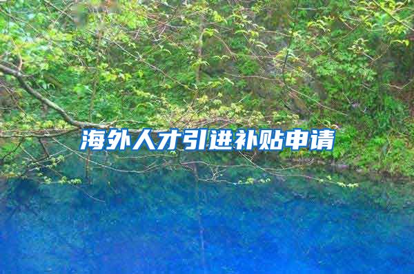 海外人才引进补贴申请