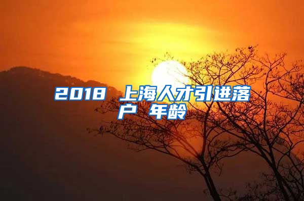2018 上海人才引进落户 年龄