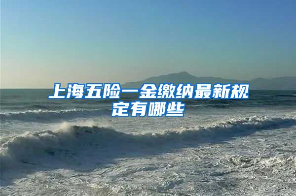 上海五险一金缴纳最新规定有哪些