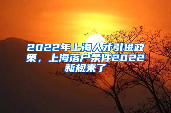 2022年上海人才引进政策，上海落户条件2022新规来了