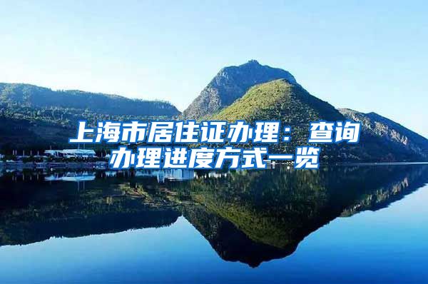 上海市居住证办理：查询办理进度方式一览