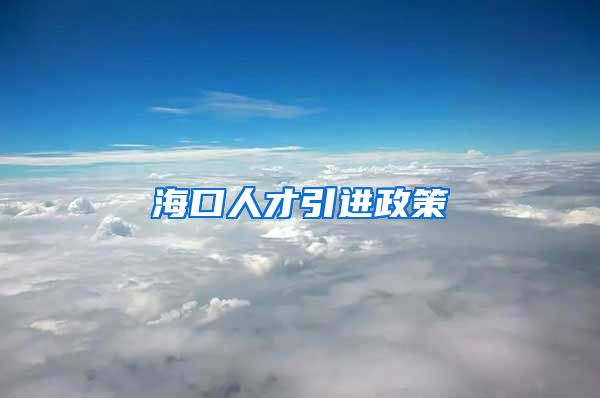 海口人才引进政策