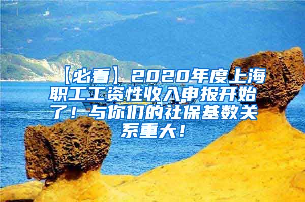 【必看】2020年度上海职工工资性收入申报开始了！与你们的社保基数关系重大！