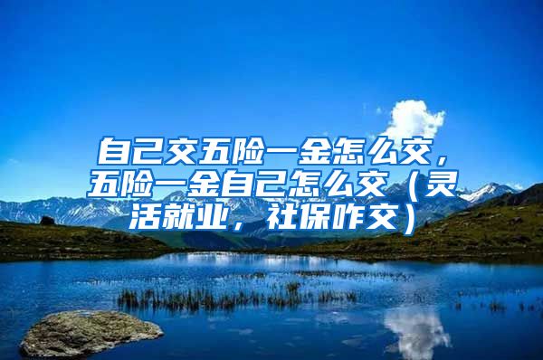 自己交五险一金怎么交，五险一金自己怎么交（灵活就业，社保咋交）