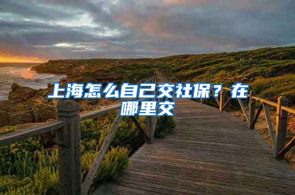 上海怎么自己交社保？在哪里交