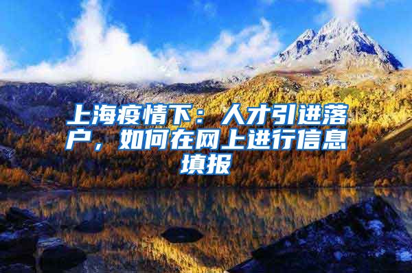 上海疫情下：人才引进落户，如何在网上进行信息填报