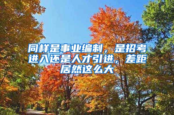 同样是事业编制，是招考进入还是人才引进，差距居然这么大