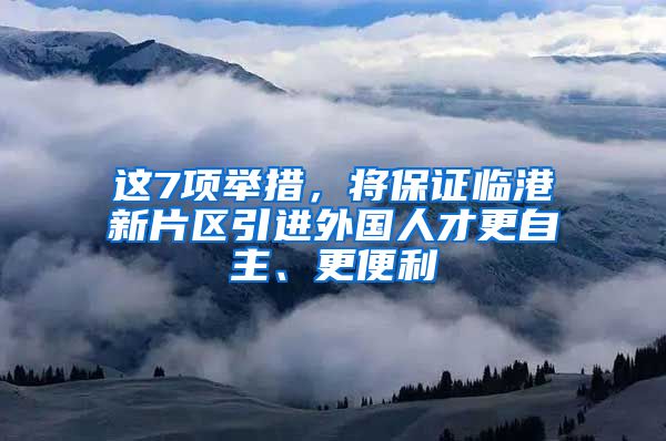 这7项举措，将保证临港新片区引进外国人才更自主、更便利