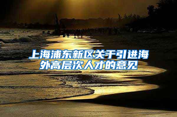 上海浦东新区关于引进海外高层次人才的意见