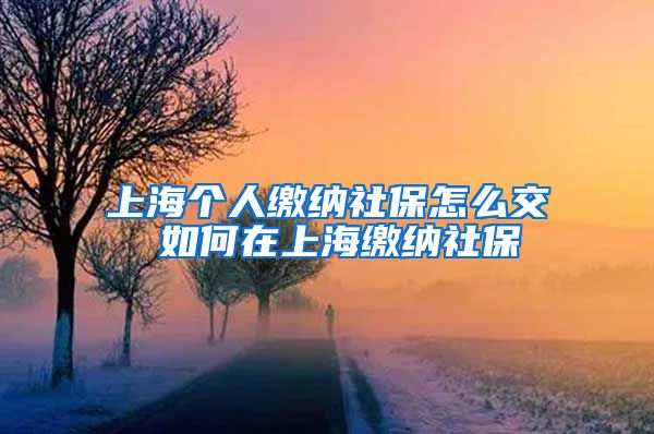 上海个人缴纳社保怎么交 如何在上海缴纳社保