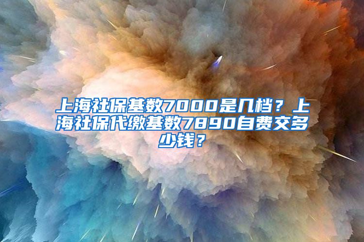 上海社保基数7000是几档？上海社保代缴基数7890自费交多少钱？