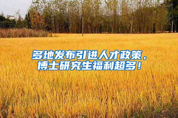 多地发布引进人才政策，博士研究生福利超多！