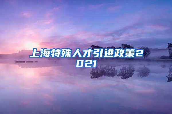 上海特殊人才引进政策2021