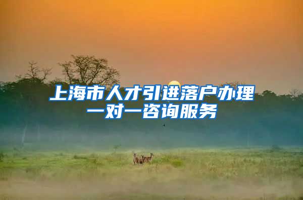 上海市人才引进落户办理一对一咨询服务