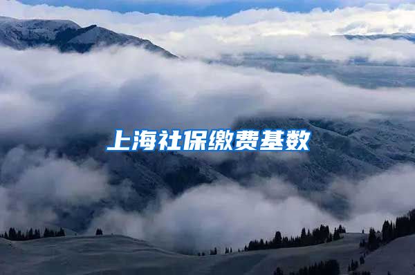 上海社保缴费基数