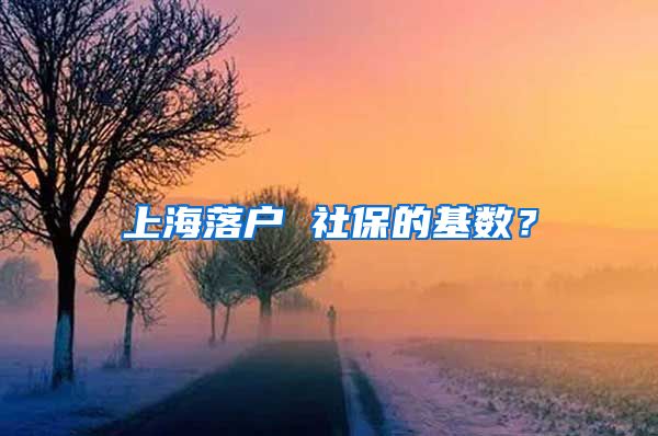 上海落户 社保的基数？