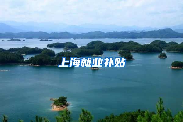 上海就业补贴