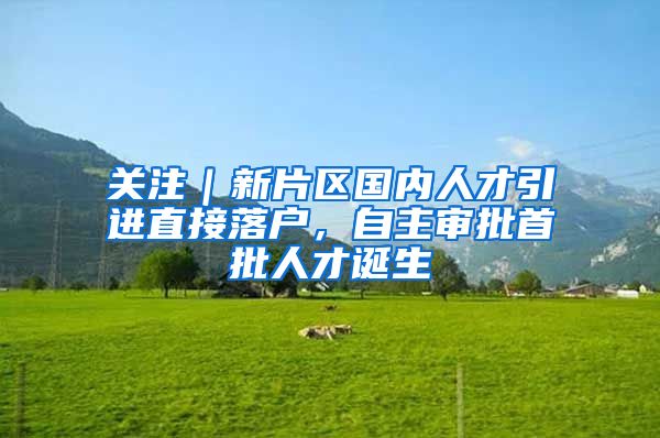 关注｜新片区国内人才引进直接落户，自主审批首批人才诞生