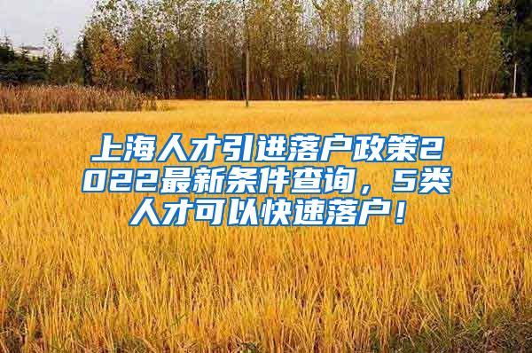 上海人才引进落户政策2022最新条件查询，5类人才可以快速落户！