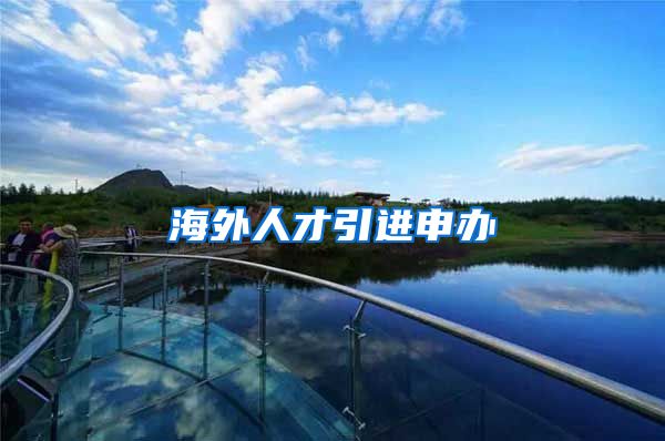 海外人才引进申办