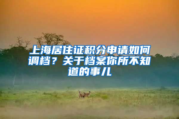 上海居住证积分申请如何调档？关于档案你所不知道的事儿