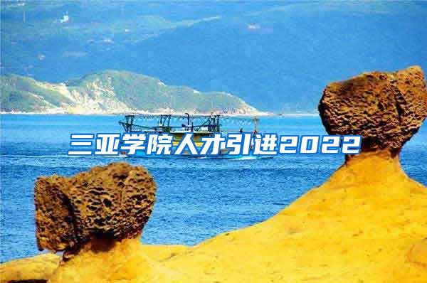 三亚学院人才引进2022