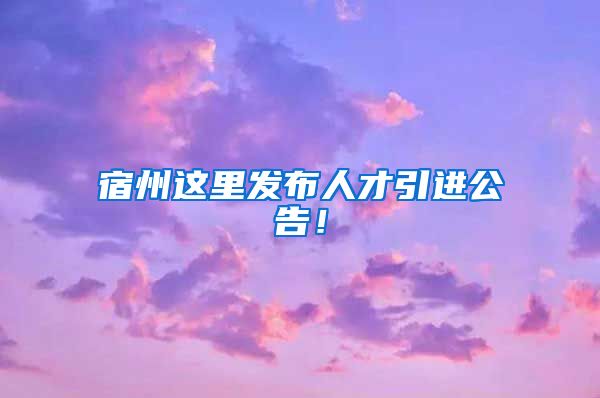 宿州这里发布人才引进公告！