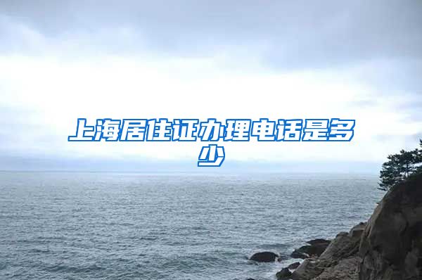 上海居住证办理电话是多少
