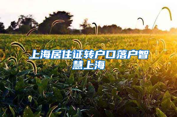 上海居住证转户口落户智慧上海