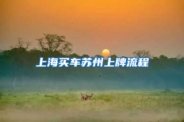 上海买车苏州上牌流程